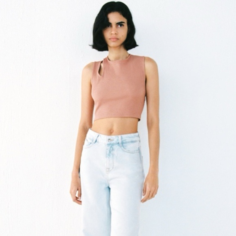 Zara Brown Cutout Cropped Top Sleeveless Fitted Crop NWOT Size S